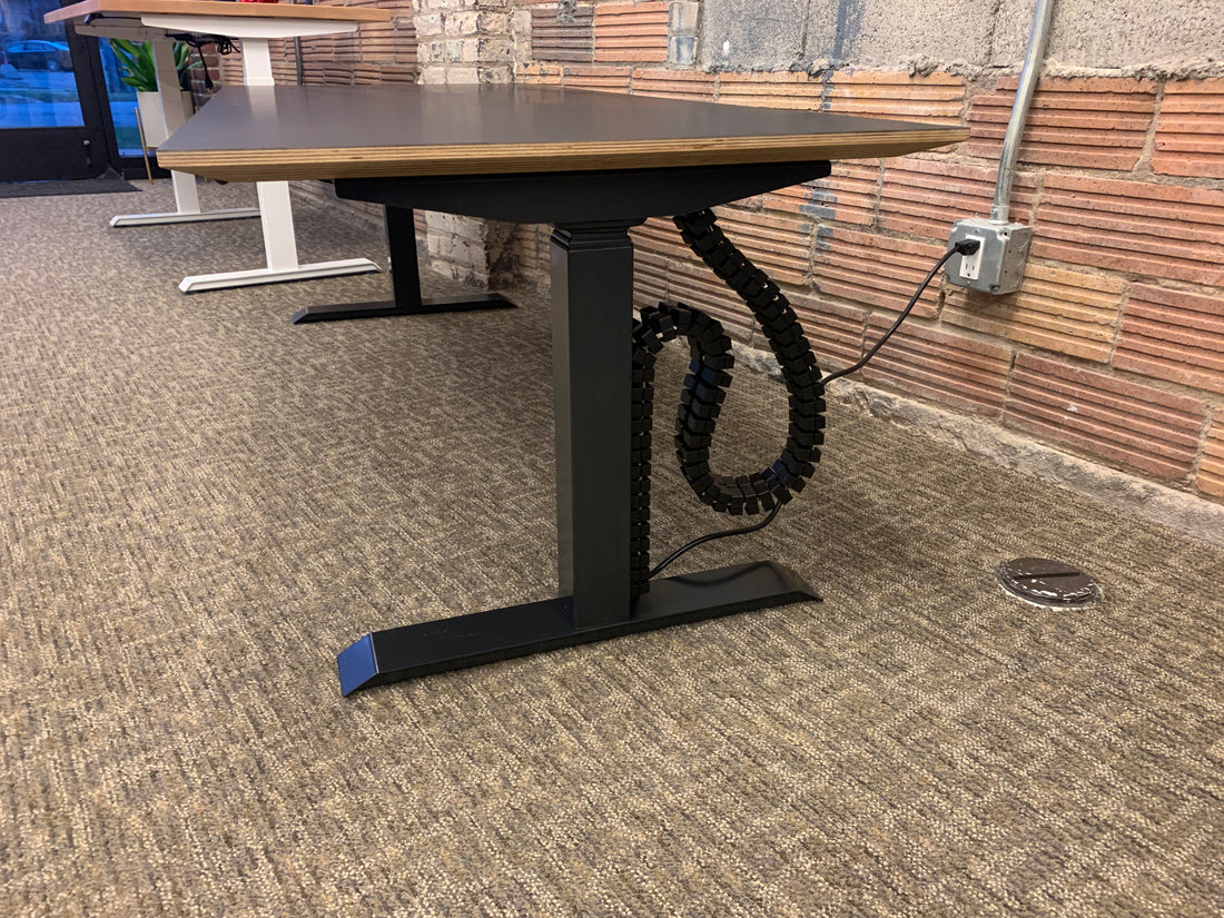 Wire Snake