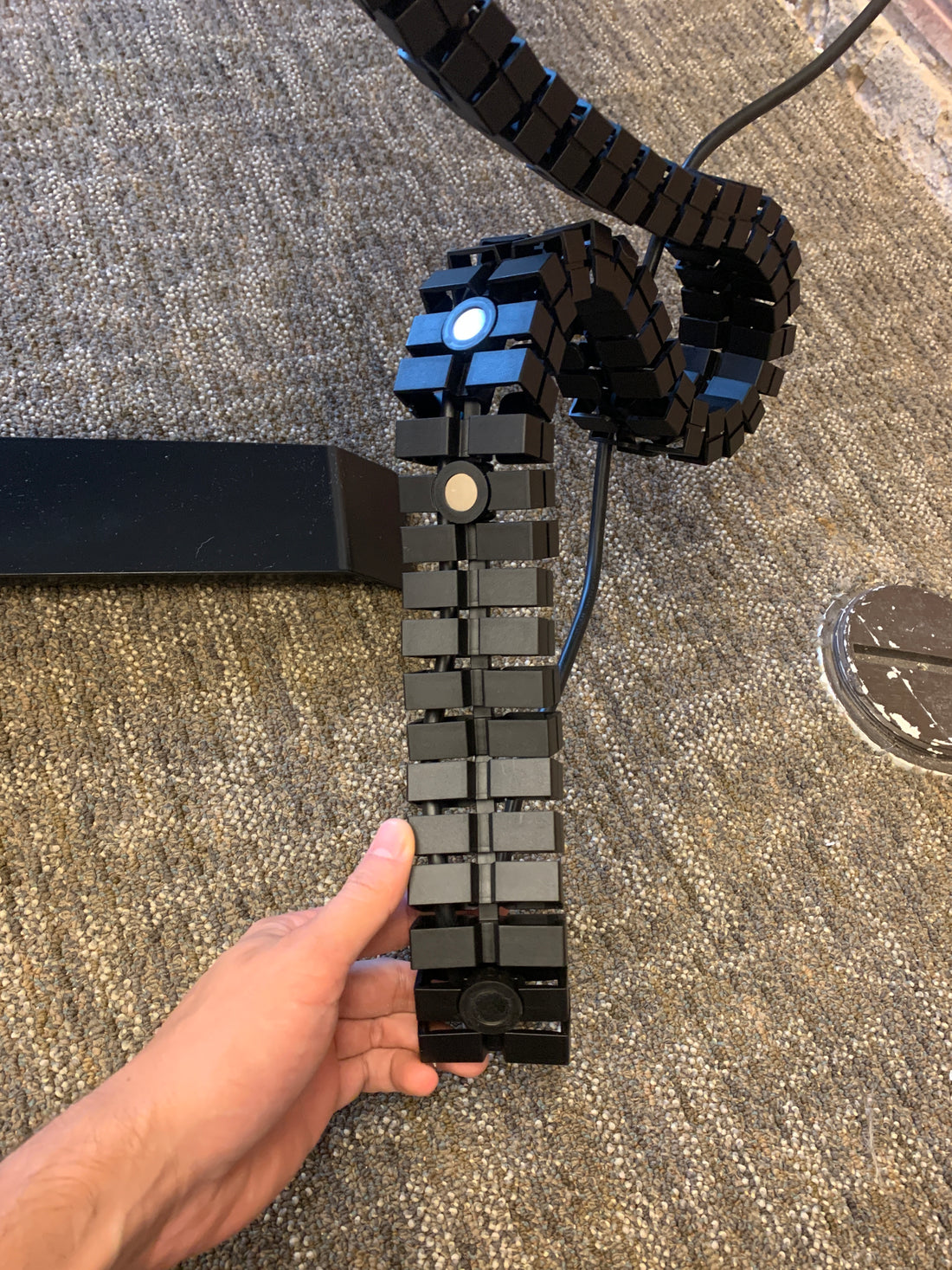 Wire Snake